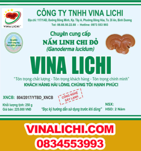 Giới thiệu về Công ty Vina Lichi